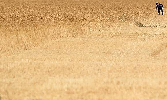 Поставки российской пшеницы в Африку взлетели