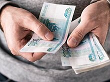 Депутат Миронов предложил запретить передавать коллекторам долги по потребкредитам