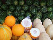 Первые арбузы и дыни появились на прилавках: откуда их везут и стоит ли покупать