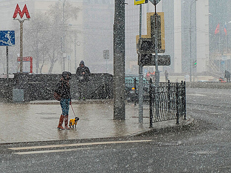 Москвичей "обрадовали": со снегопадами пока не стоит прощаться (ФОТО)