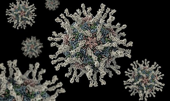 Отключение единственного белка в теле человека дает иммунитет к простуде