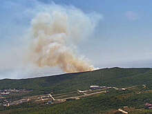Площадь лесного пожара под Анапой выросла до 11,2 га
