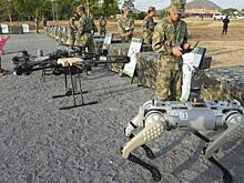 Разведка Запада в шоке: вслед за роем дронов-камикадзе на противника НОАК может налететь стая роботов-собак