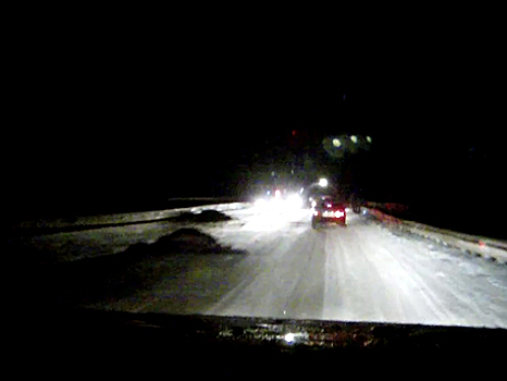 Страшное ДТП с участием лося произошло под Нефтекамском: видео