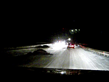 Страшное ДТП с участием лося произошло под Нефтекамском: видео