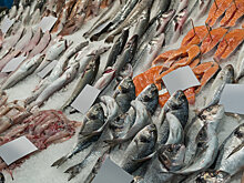 Эксперт оценил, ждать ли России дефицита лосося