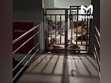 Mash: около 10 туристов из России вышли покалеченными из больницы Sanglah на Бали