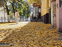 Пензенская область попала под влияние обширного антициклона