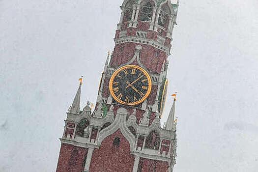 Тишковец: около 40% месячной нормы осадков выпало в Домодедово за 12 часов