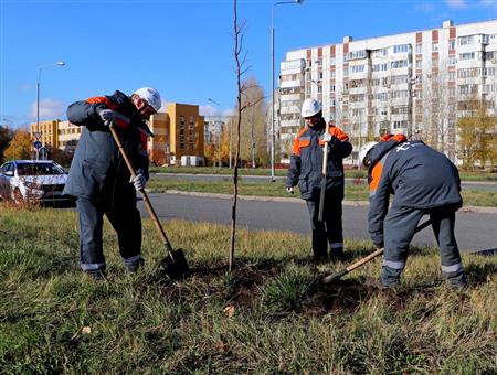 Энергетики «Т Плюс» высадили липы в Тольятти