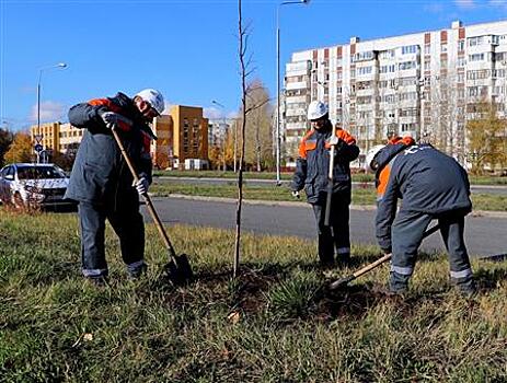 Энергетики "Т Плюс" высадили липы в Тольятти