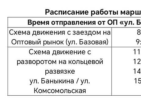 В Тольятти с 3 января начнет работу новый автобусный маршрут №6р