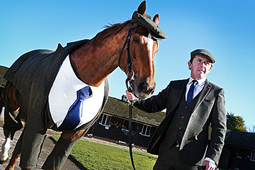 Британка создала первый в мире твидовый костюм для коня