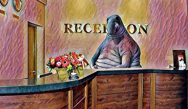 «Мы все превратились в Ждуна» – гостиницам нужна ясность, когда открываться