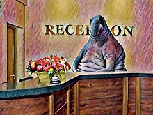 «Мы все превратились в Ждуна» – гостиницам нужна ясность, когда открываться