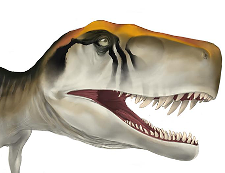 Динозавры были не единственными быстрорастущими существами в мезозое