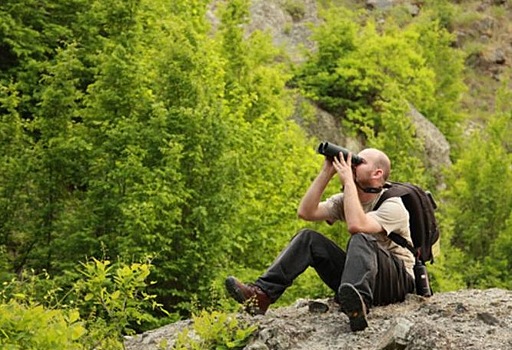 Наблюдение за птицами оказывает положительное влияние на психическое здоровье людей