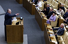"Единая Россия" требует от Жириновского извинений за оскорбление Родниной