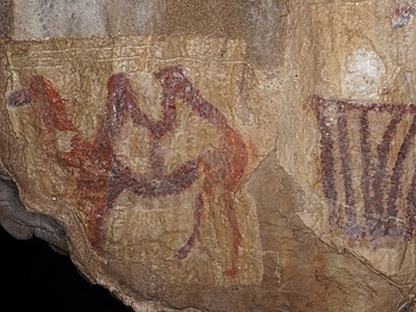 В уральской пещере найдено древнейшее изображение двугорбого верблюда