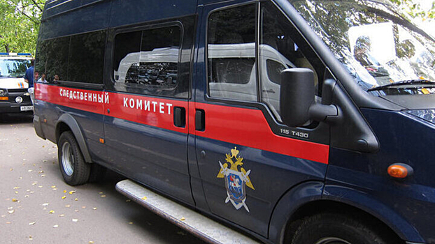 В&nbsp;российском городе обнаружили тело жестоко убитой 18-летней девушки