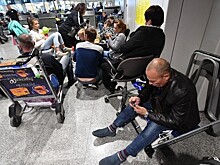 Суд отменил взыскание с аэропорта "Домодедово" за загрязнение реки