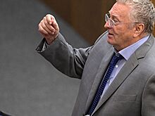 Жириновский предложил сокращать сроки заключенным с детьми