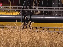 День работника сельского хозяйства