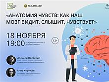 В ДК "Тольяттиазот" пройдет лекция "Анатомия чувств: как наш мозг видит, слышит, чувствует"