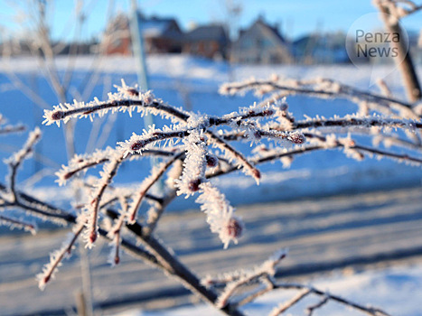 Ночью местами по Пензенской области ожидается мороз до -32°C