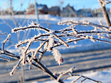 Ночью местами по Пензенской области ожидается мороз до -32°C