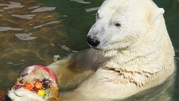 СМИ: Для зоопарка в Екатеринбурге построят кормокухню