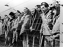 В Крыму снимут документальный фильм о Холокосте