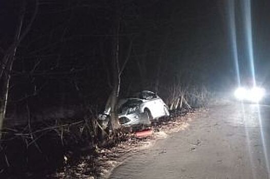 Пять человек пострадали в столкновении с деревом в Кисловодске