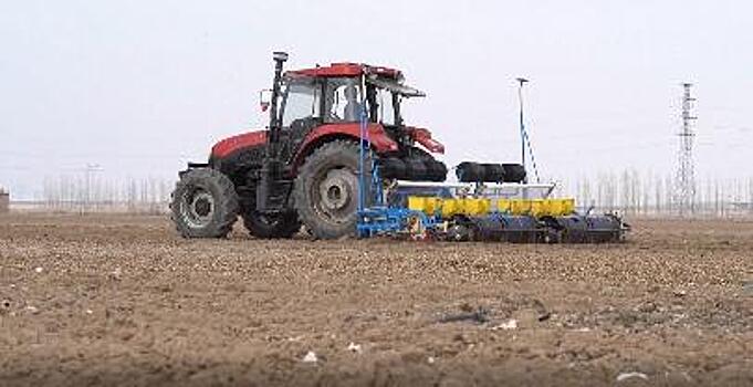 Поля Синьцзяна бороздят беспилотные хлопковые сеялки