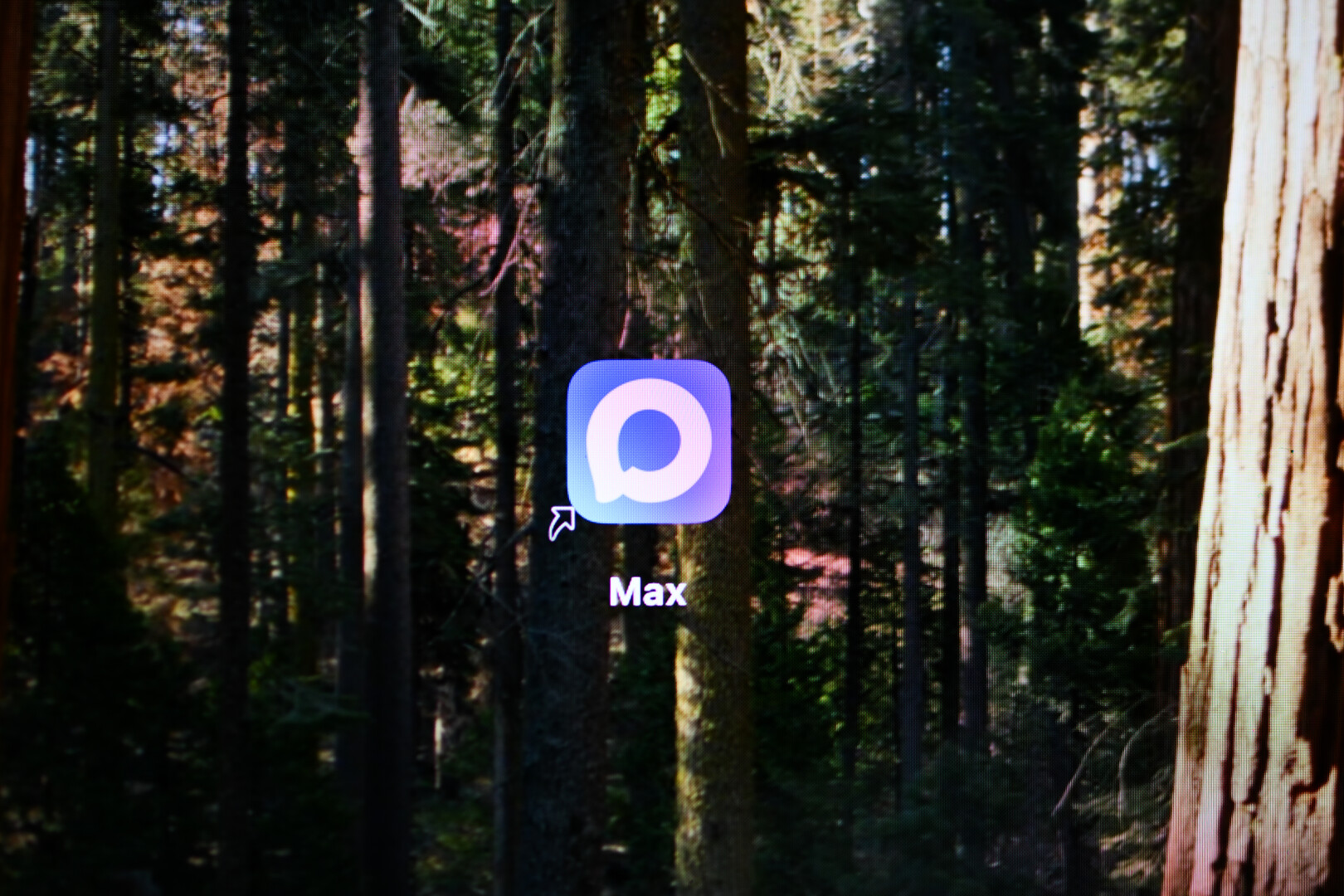 В России предупредили о мошенничестве с помощью нового мессенджера