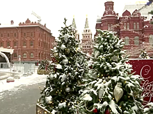 События в США не интересуют празднующих москвичей