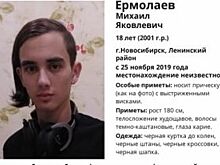 18-летний парень с необычной прической пропал в Новосибирске