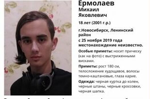 18-летний парень с необычной прической пропал в Новосибирске