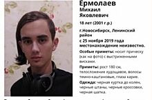 18-летний парень с необычной прической пропал в Новосибирске