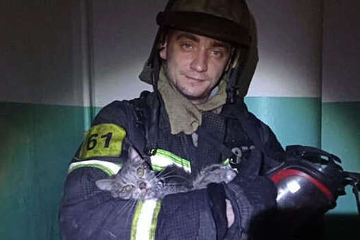 В Подмосковье спасатели вынесли из огня двух кошек и реанимировали одну из них