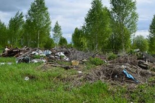 Шесть несанкционированных свалок нашли экологи городах и районах области