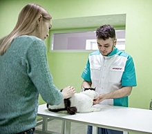 В Челябинске готова к открытию клиника ветеринара, который спасал животных от усыпления