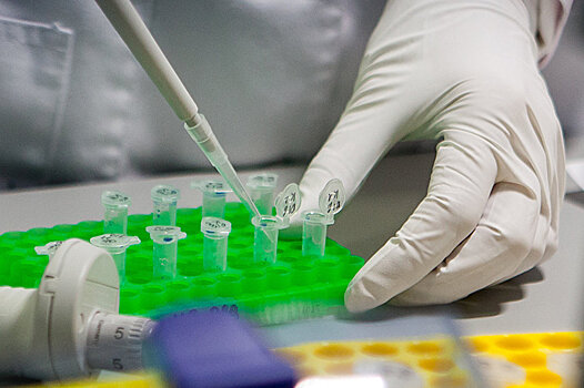 Как лечить рак с помощью сперматозоидов, выяснили немецкие ученые