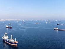 В Великобритании нашли альтернативу зерновой сделке