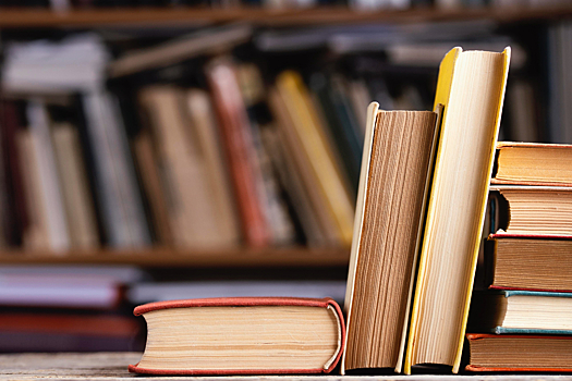 Более 100 книг русских классиков на сумму свыше $3 млн оказались похищены в Европе