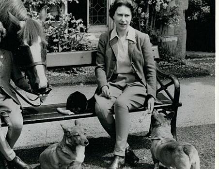 Не только корги: названы любимые породы собак королевской семьи