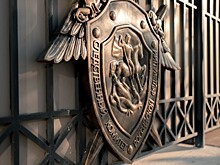 Бастрыкин изучит дело о травмировании ребенка петардой в Сочи