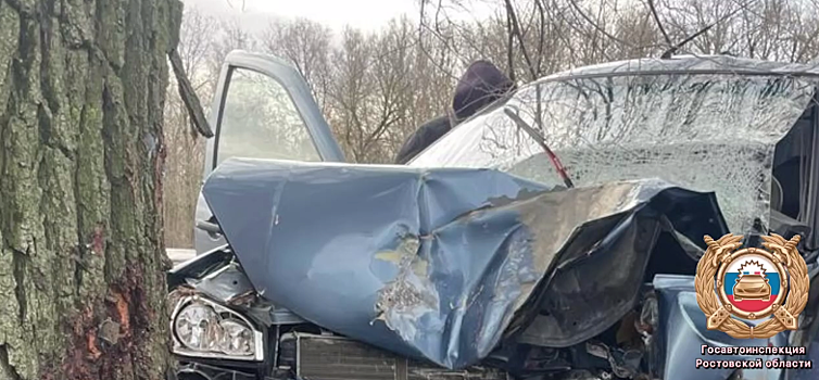 ВАЗ разбился о дерево в Песчанокопском районе