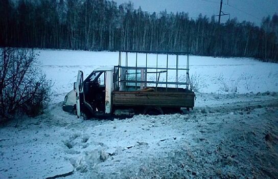 В Зауралье водитель не справился с управлением «Газели» и погиб в ДТП