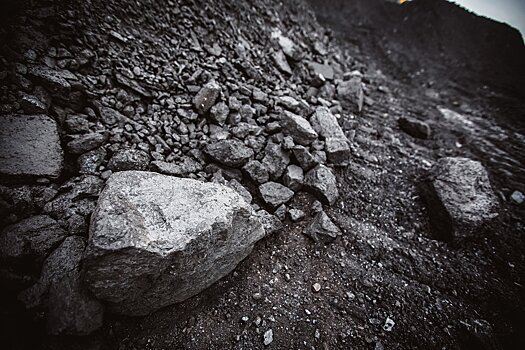 Власти Кузбасса попросили у Минприроды РФ помощи в отмене аукциона на участок угля